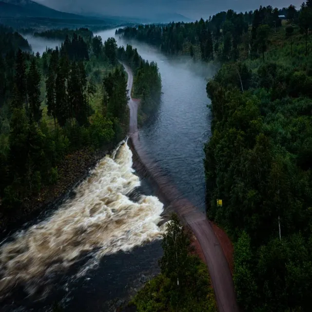 Forsande älv och grusväg genom granskog sedd från ovan