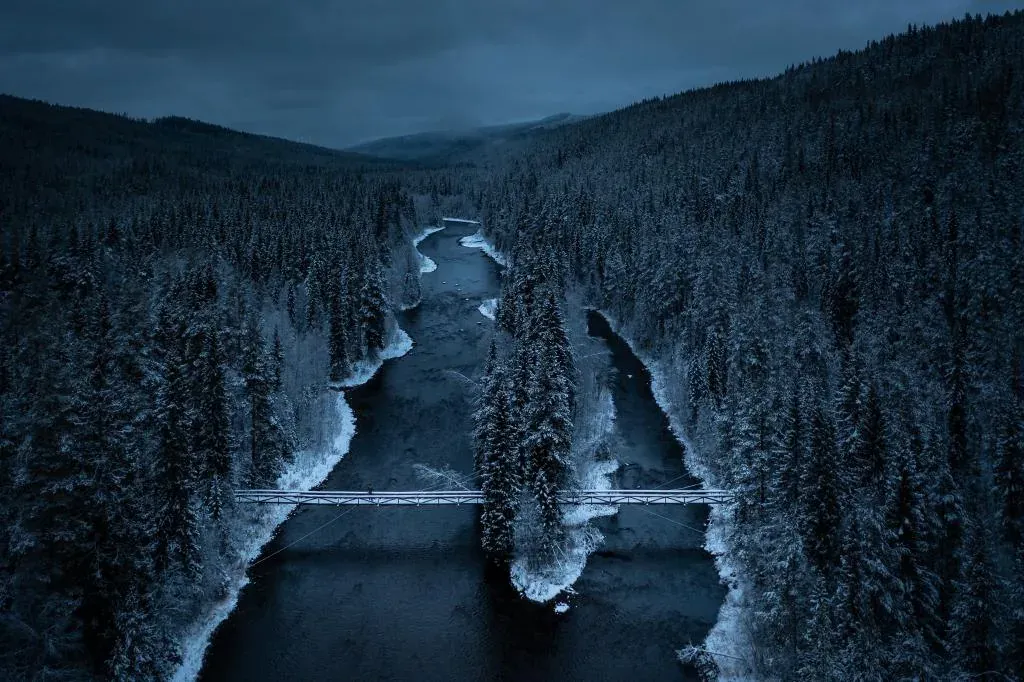 Flod med bro genom snöig granskog sedd från ovan i skymning