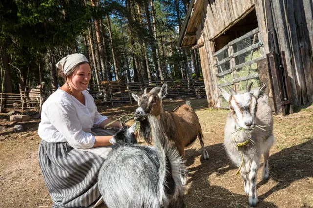 Kvinna i folkdräkt klappar getter framför en lada