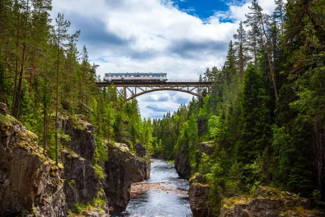 Tåg på hög bro över ravin med å och granskog