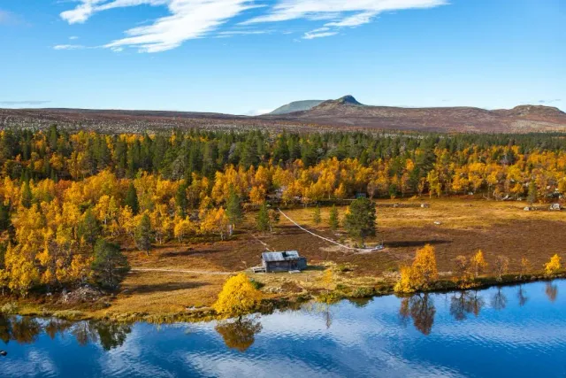 Höstfärgad fjällskog med sjö och liten stuga