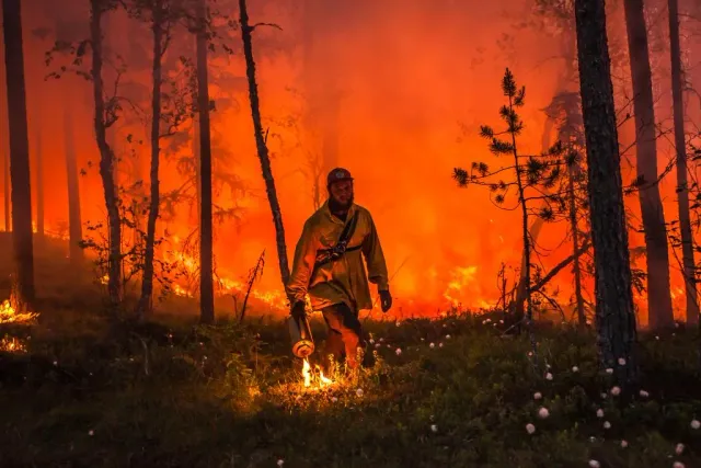 Person går genom skog med flammande skogsbrand