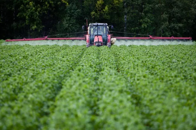 Traktor sprutar över ett grönt fält