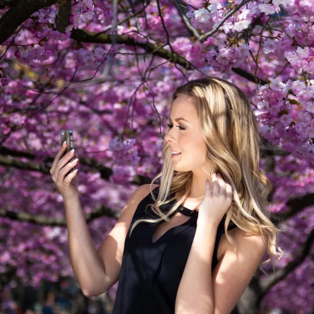 Kvinna tittar på mobilen framför rosa blommande träd